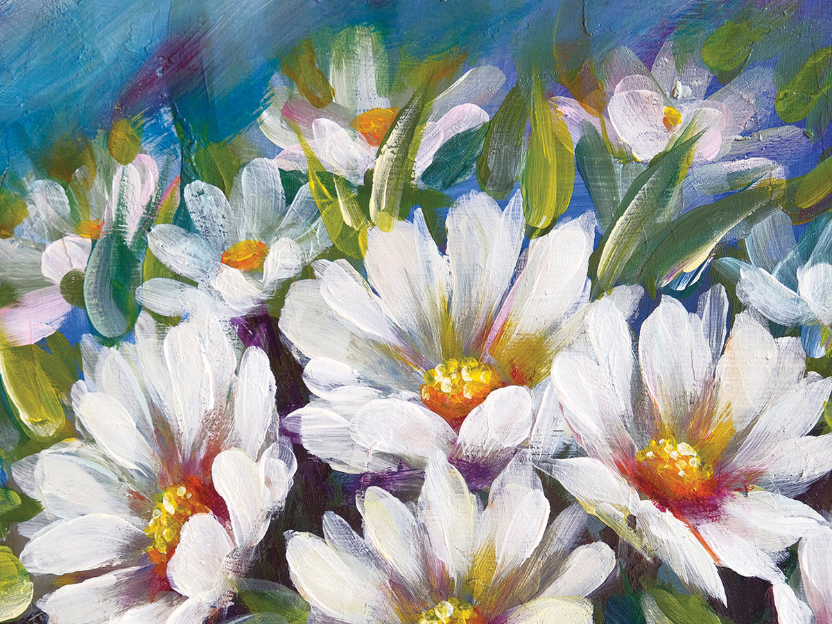 Wild Daisies from the Meadow