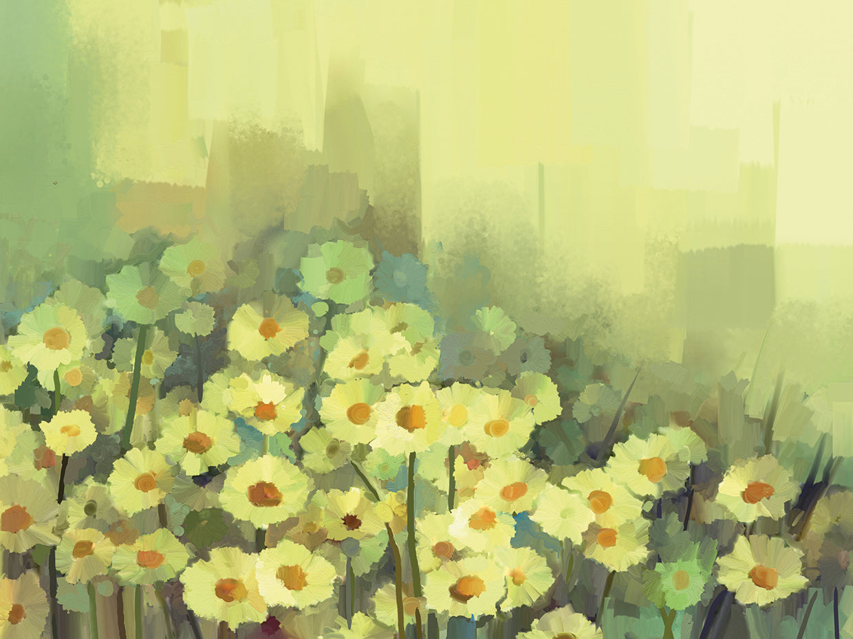 Calming Sweet Chamomile