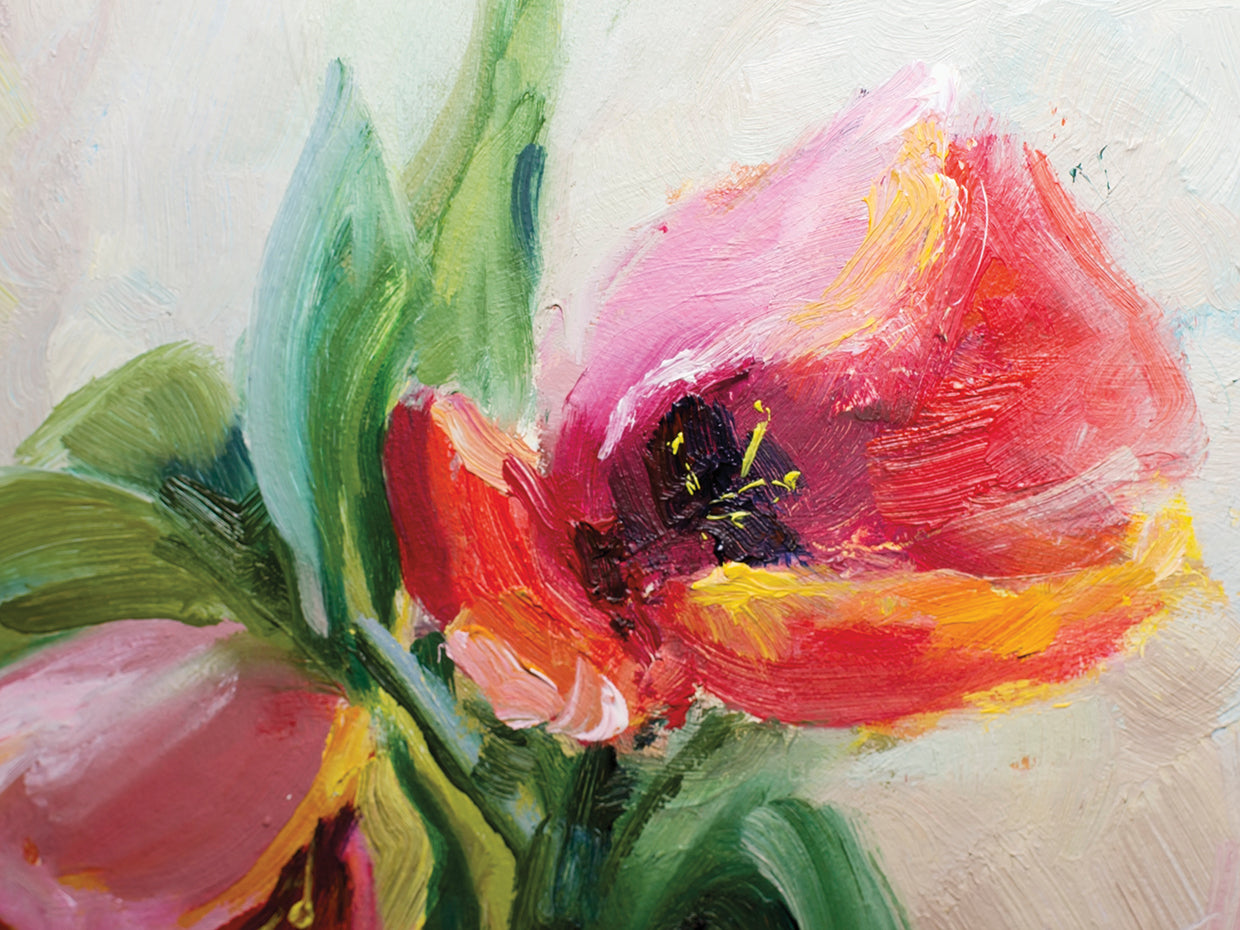 Spring Solo Tulip