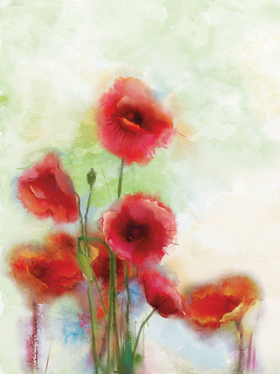 Suavemente en rojo amapolas arte de la lona
