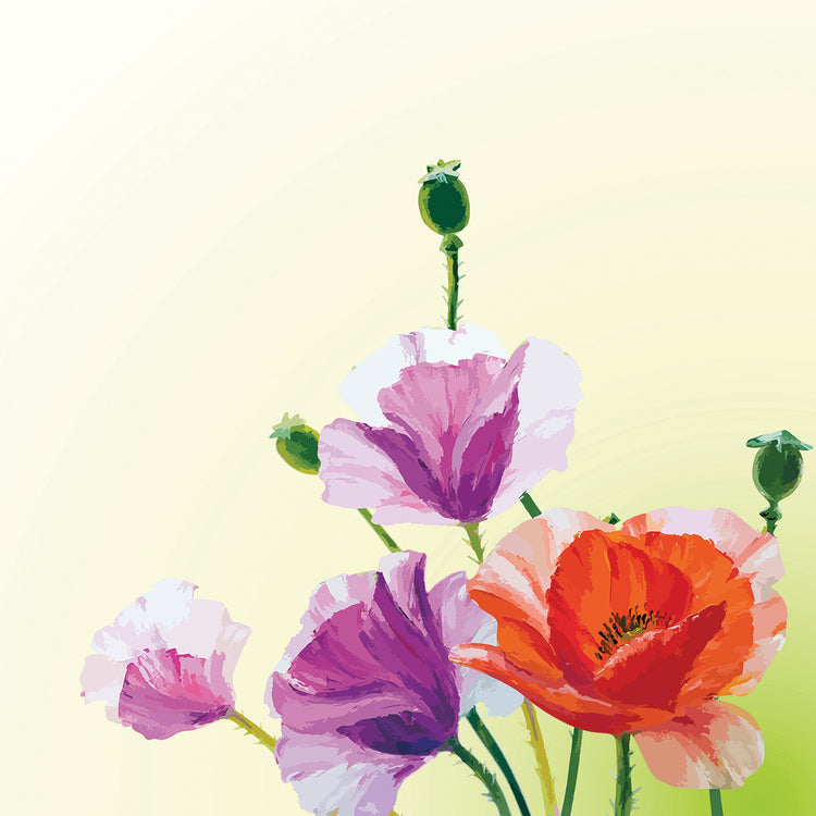 Arte de la lona de las amapolas de los colores vivos