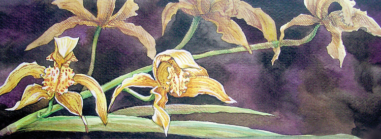 Encantador lienzo de flores de orquídeas de limón