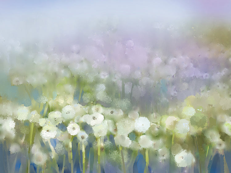 Arte de la lona de los blancos de la flor silvestre púrpura brumosa