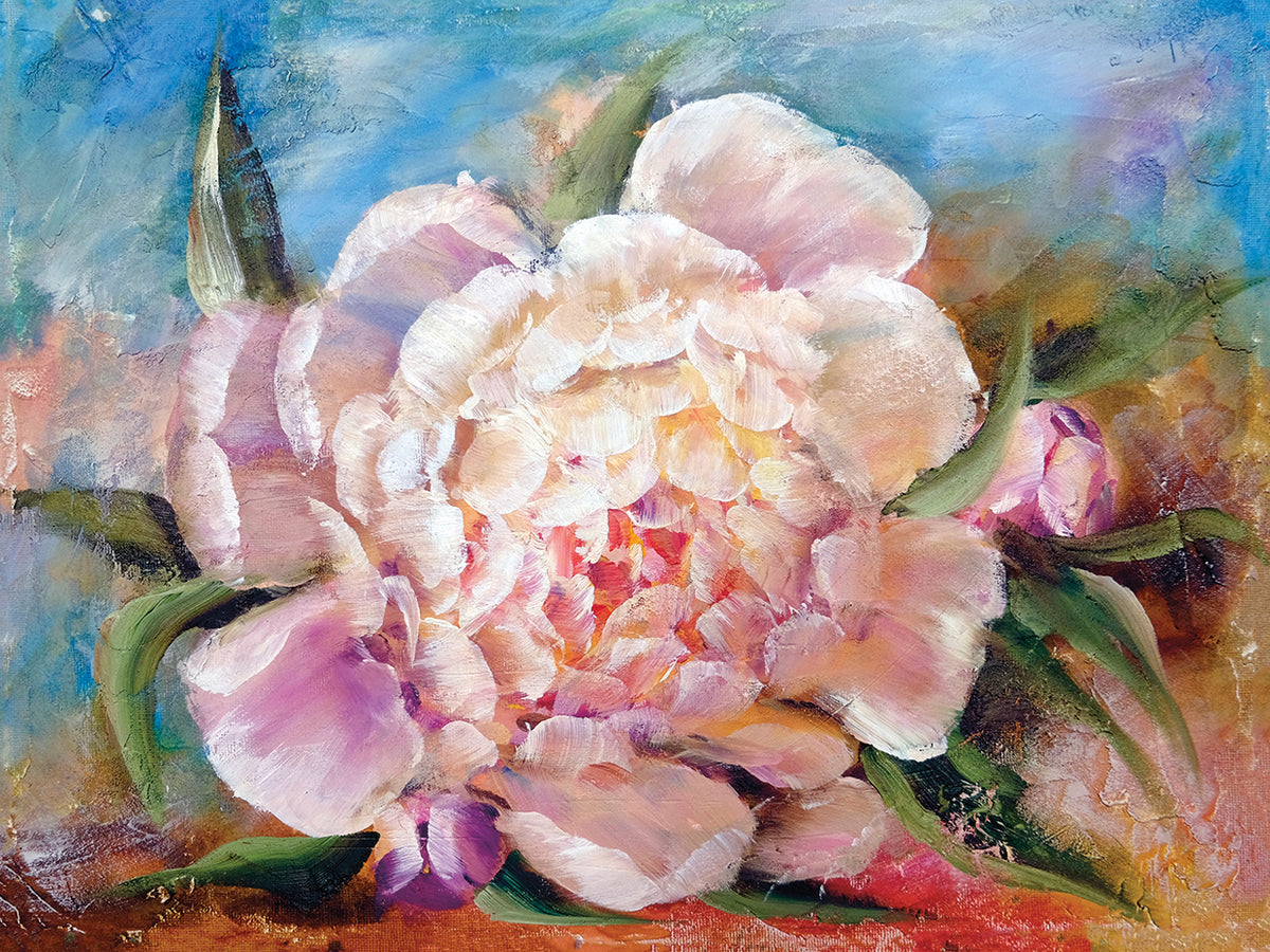 Restful Romantic Peony