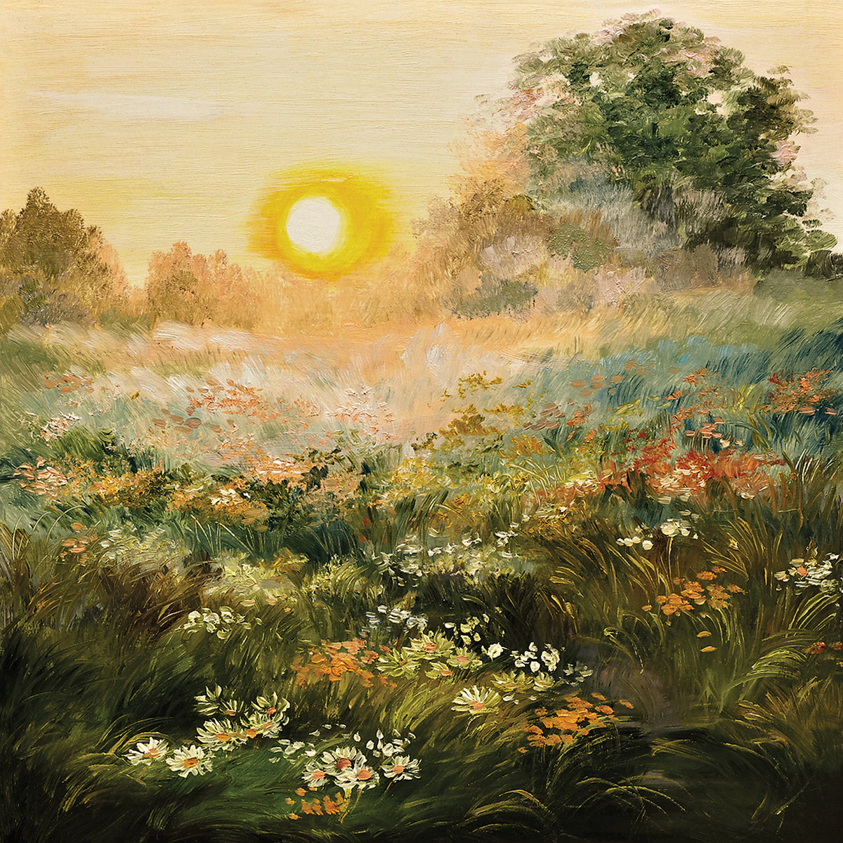 Wildflower Dawns with Color