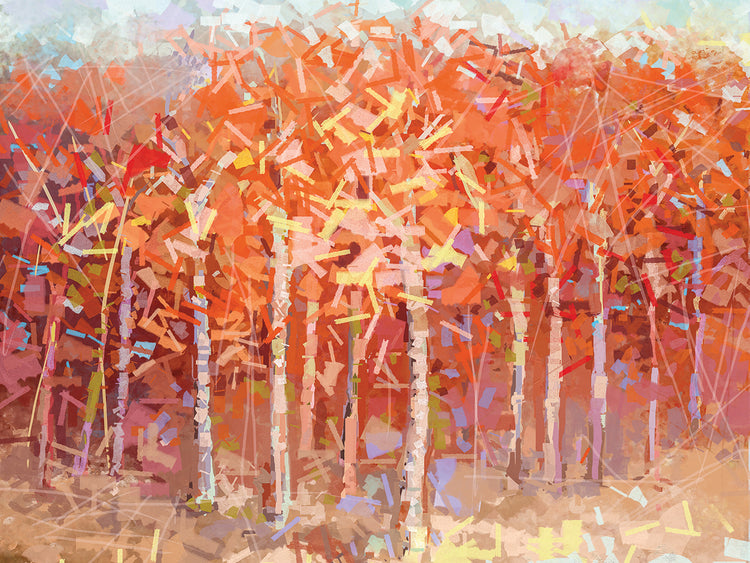 Frisky Colors Fall Forest