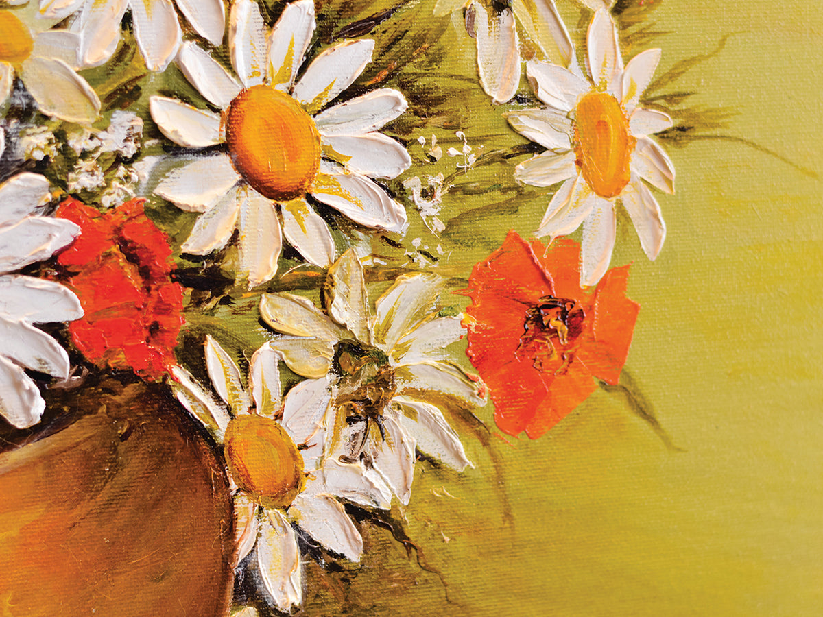 Poppies and Daisies Study