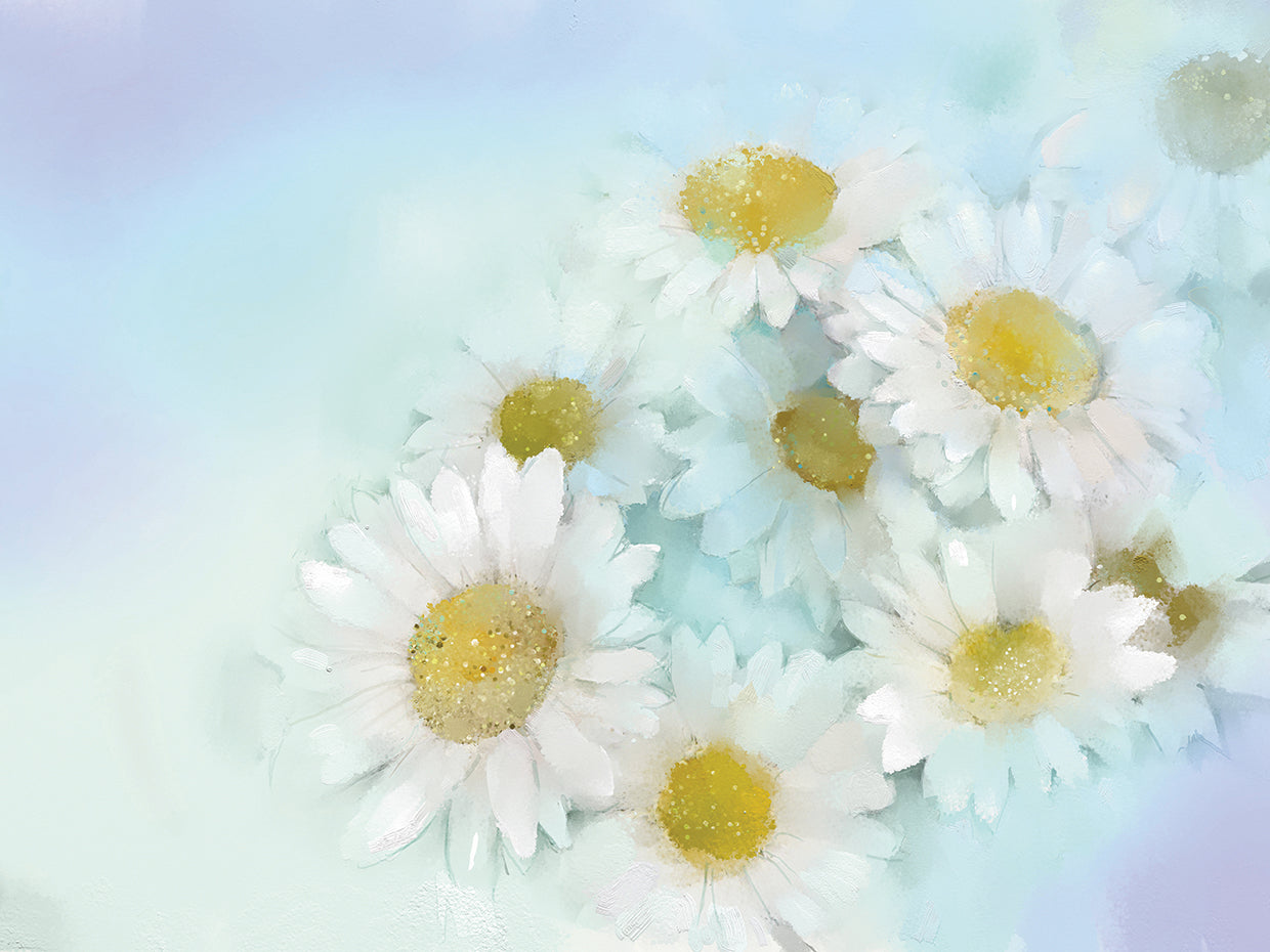Baby Blue Gerberas