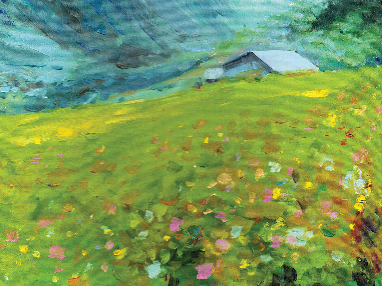 Mountain Meadow Summer Cabin