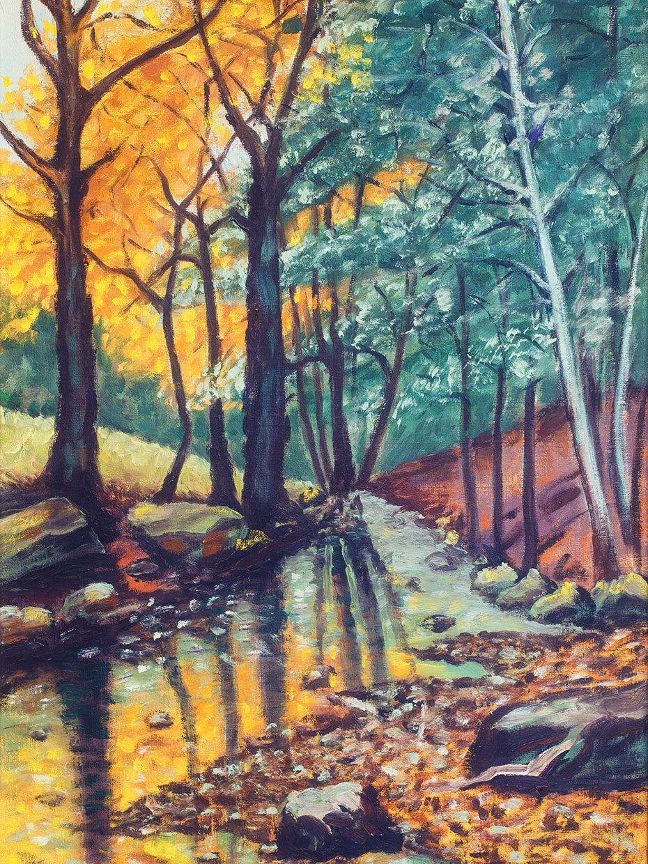 River Rock Fall Reflections