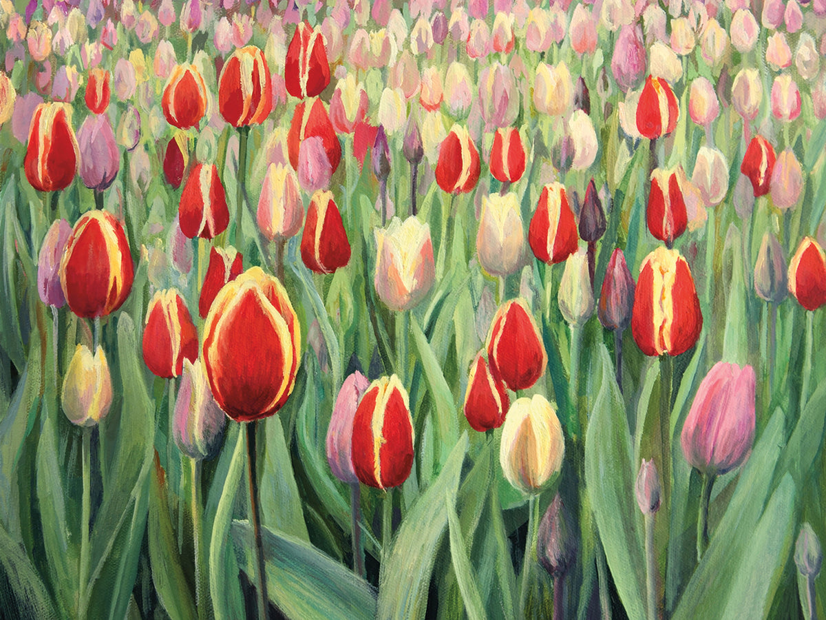 European Garden of Tulips