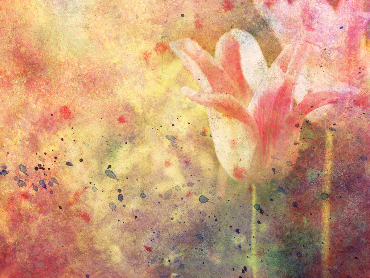 Watercolor Pink Splatter Tulips