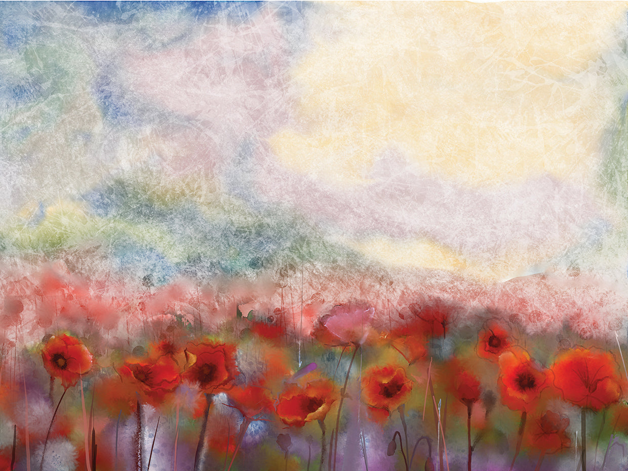 Soft Rain Mist Poppies