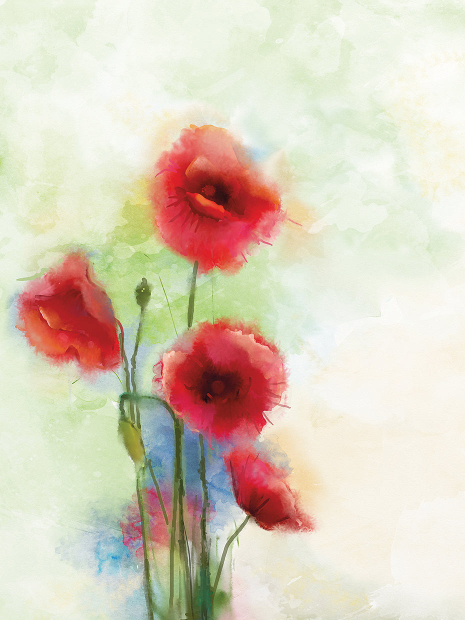Cuadro en lienzo de cuatro amapolas rojas