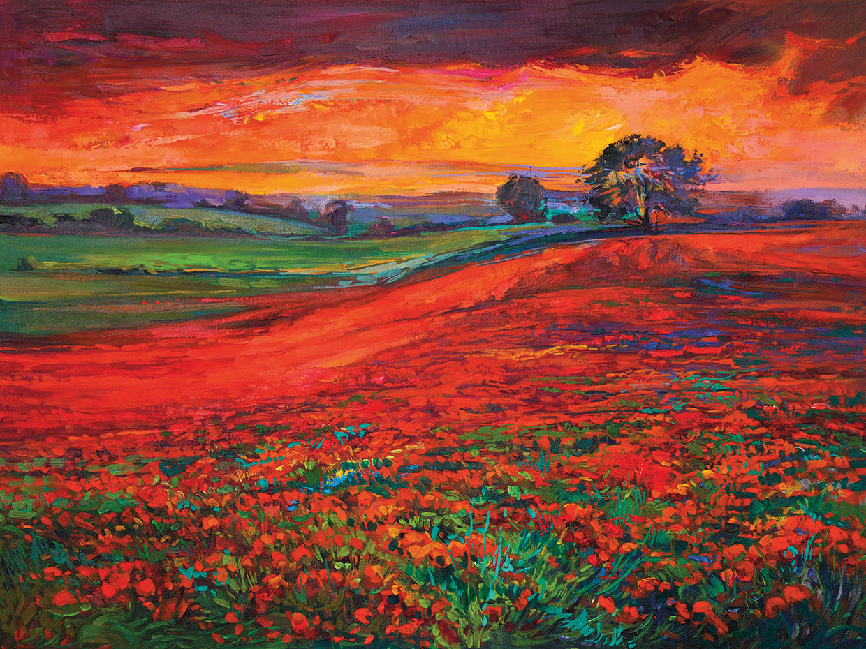 Rich Ruby Red Poppy Fields