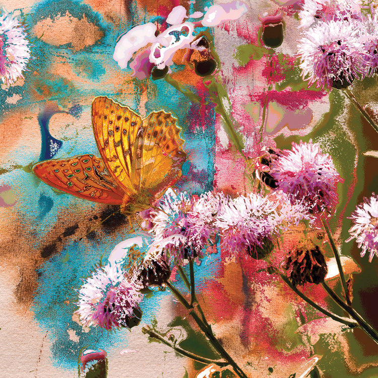 Butterflies Love Purple Too