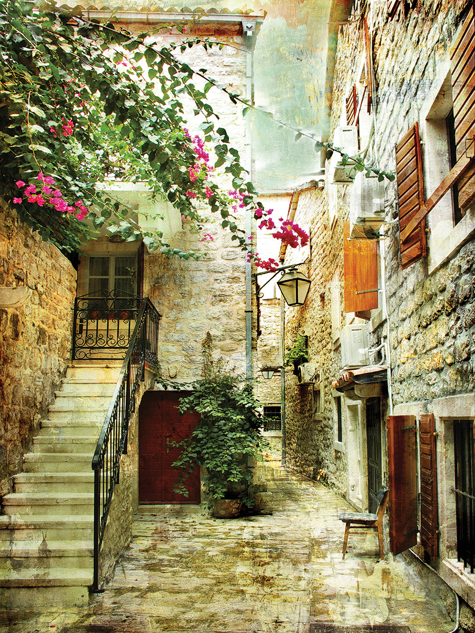 Vintage Steps to the Old Shop