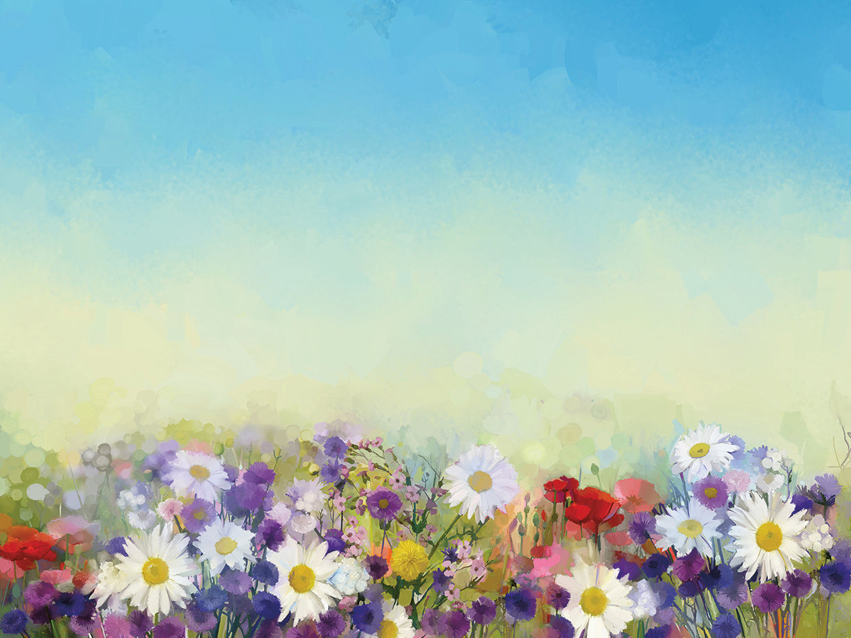 Happiness is a Blue Sky Meadow