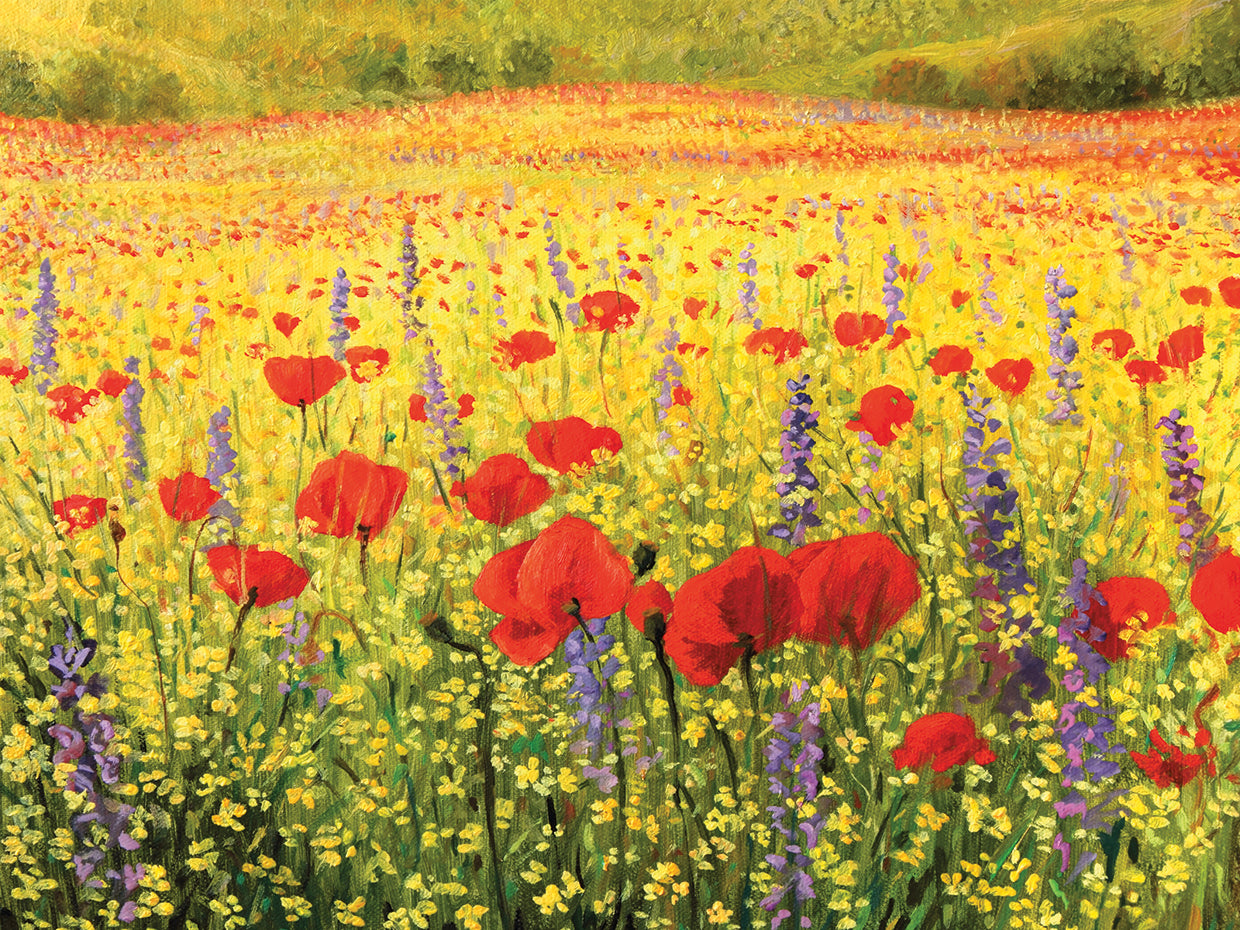 Rolling Reds and Purples Poppies