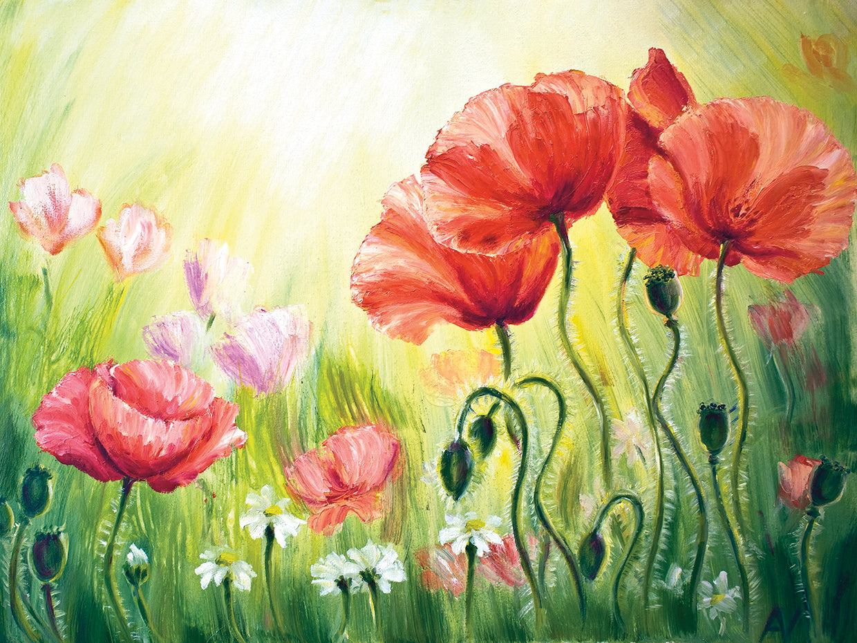 Rockin it in Red Poppies