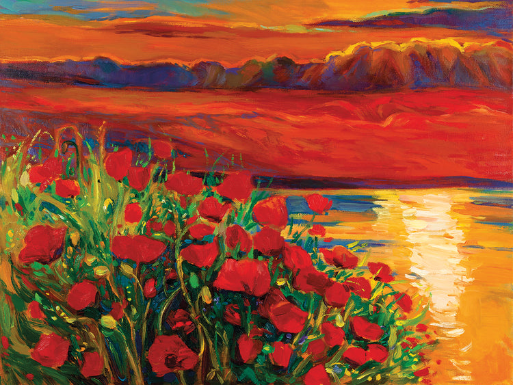 Red Velvet Sunset Poppies