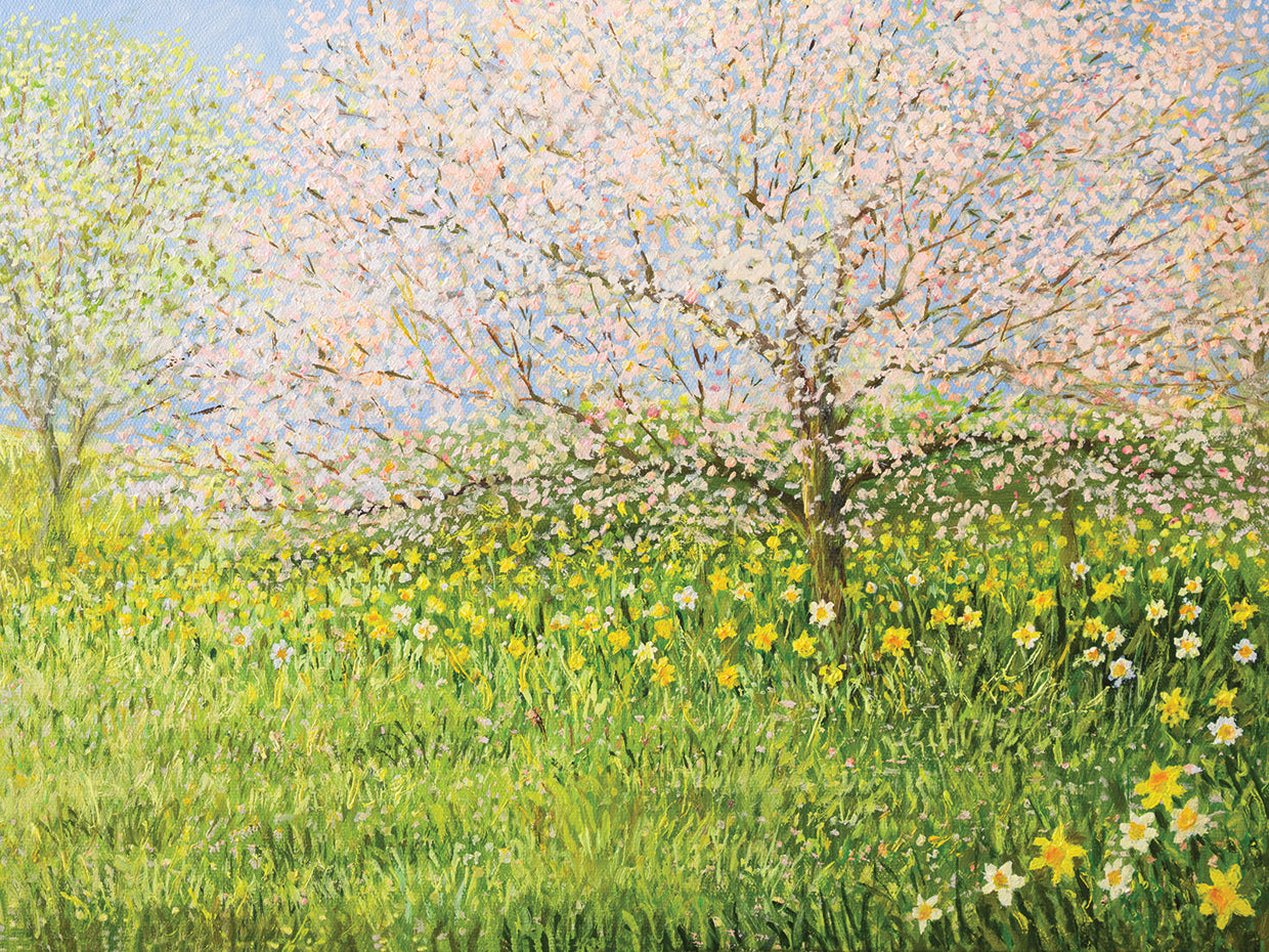 Nature Wakes Up Springtime