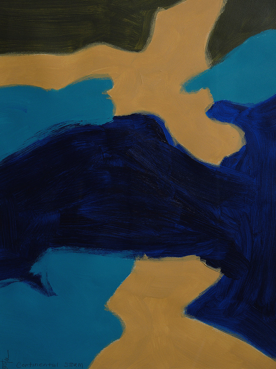 Continental Storm 2 handcrafted art work on canvas or framed canvas prints by Dan Houston 