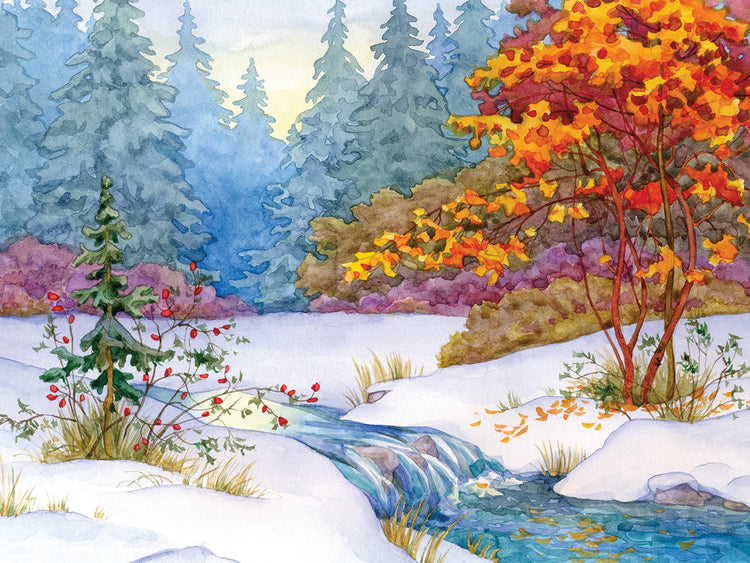 First Snow Last Colors