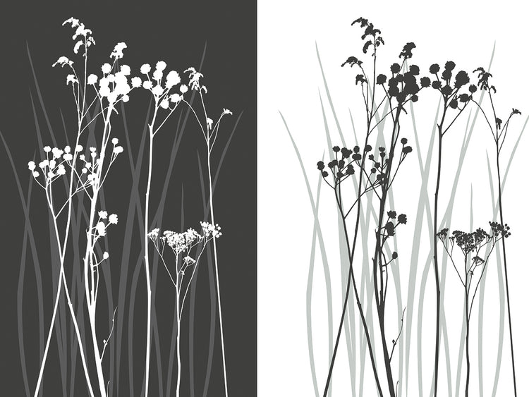 Mirror Mirror Grace Grasses