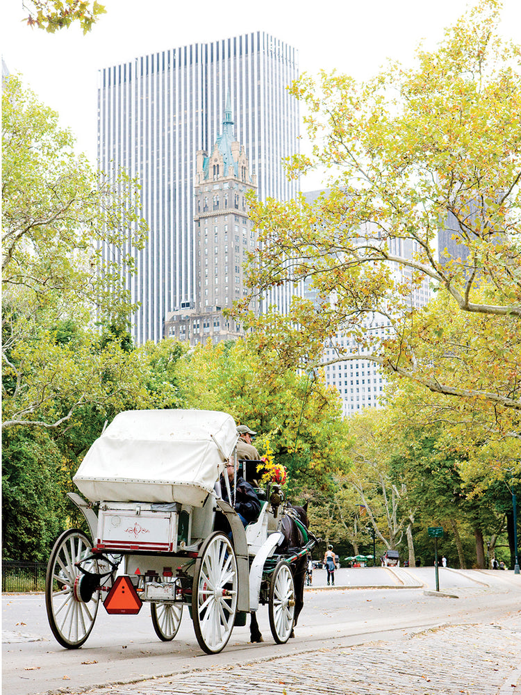 Paseo en carruaje de Central Park Lienzo