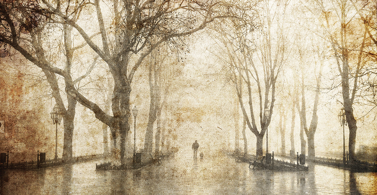 Arte de la lona del paseo de la tarde del parque de Foggy