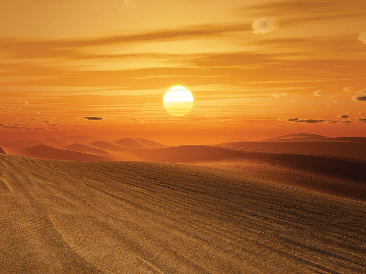 Waves of Sand Dune Sunset