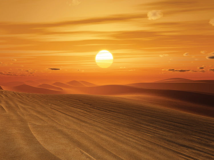 Waves of Sand Dune Sunset