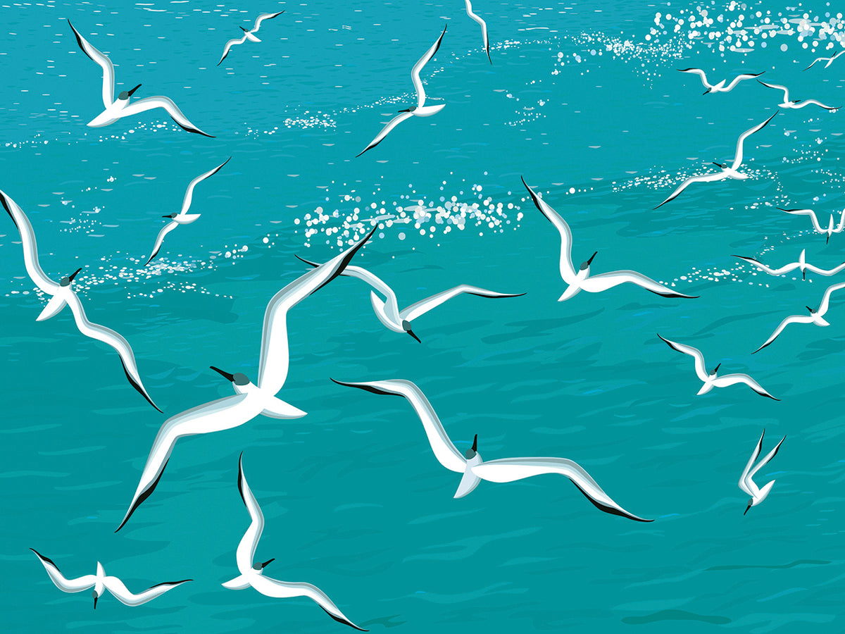 Swooping Seaside Seagulls