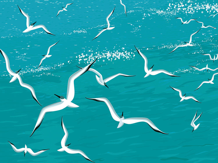 Arte de la lona de las gaviotas de la playa de Swooping