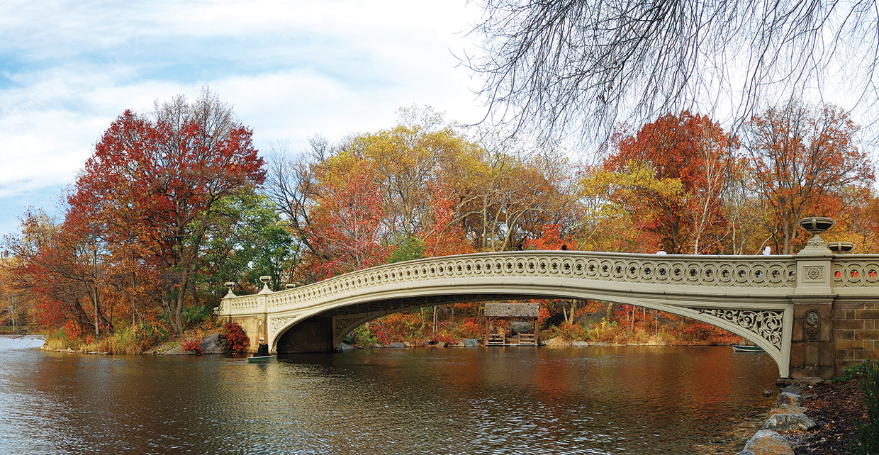 Central Park Bridge to Autumn