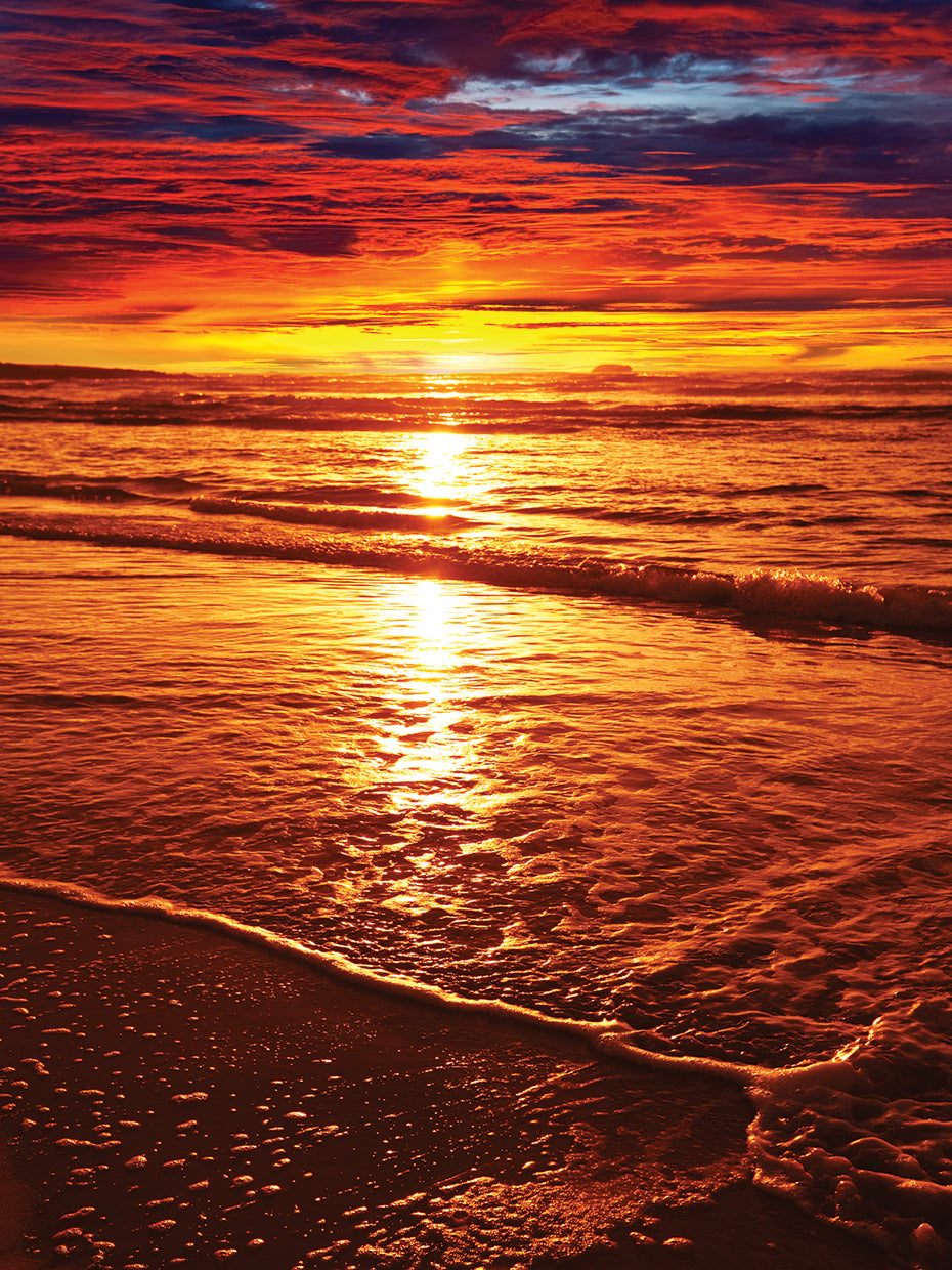 Beachy Bronze Sunset