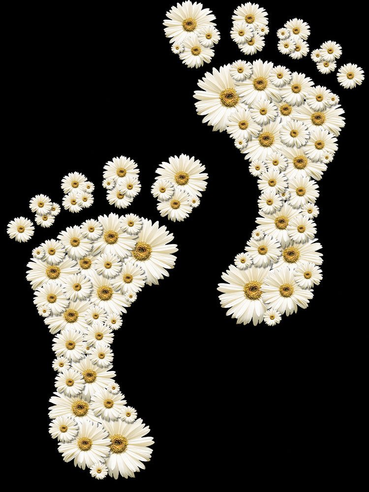 Arte de la lona de las huellas florales de la margarita