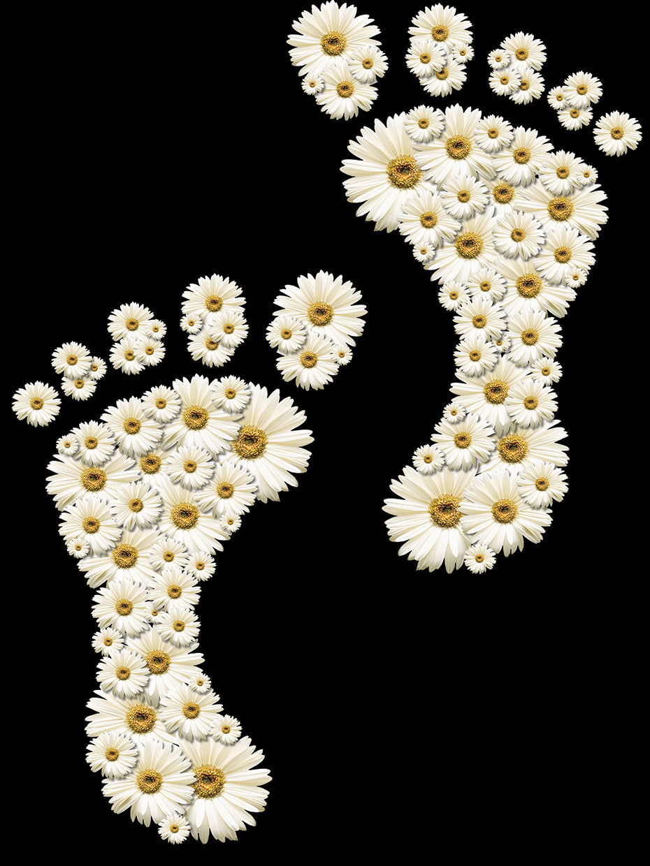 Arte de la lona de las huellas florales de la margarita