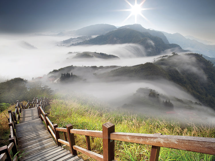 Steps to the Mountain Mist