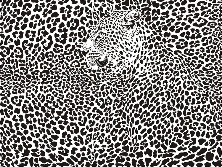 Can you Spot the Leopard?