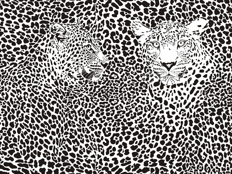 Dos leopardos me vieron lienzo arte