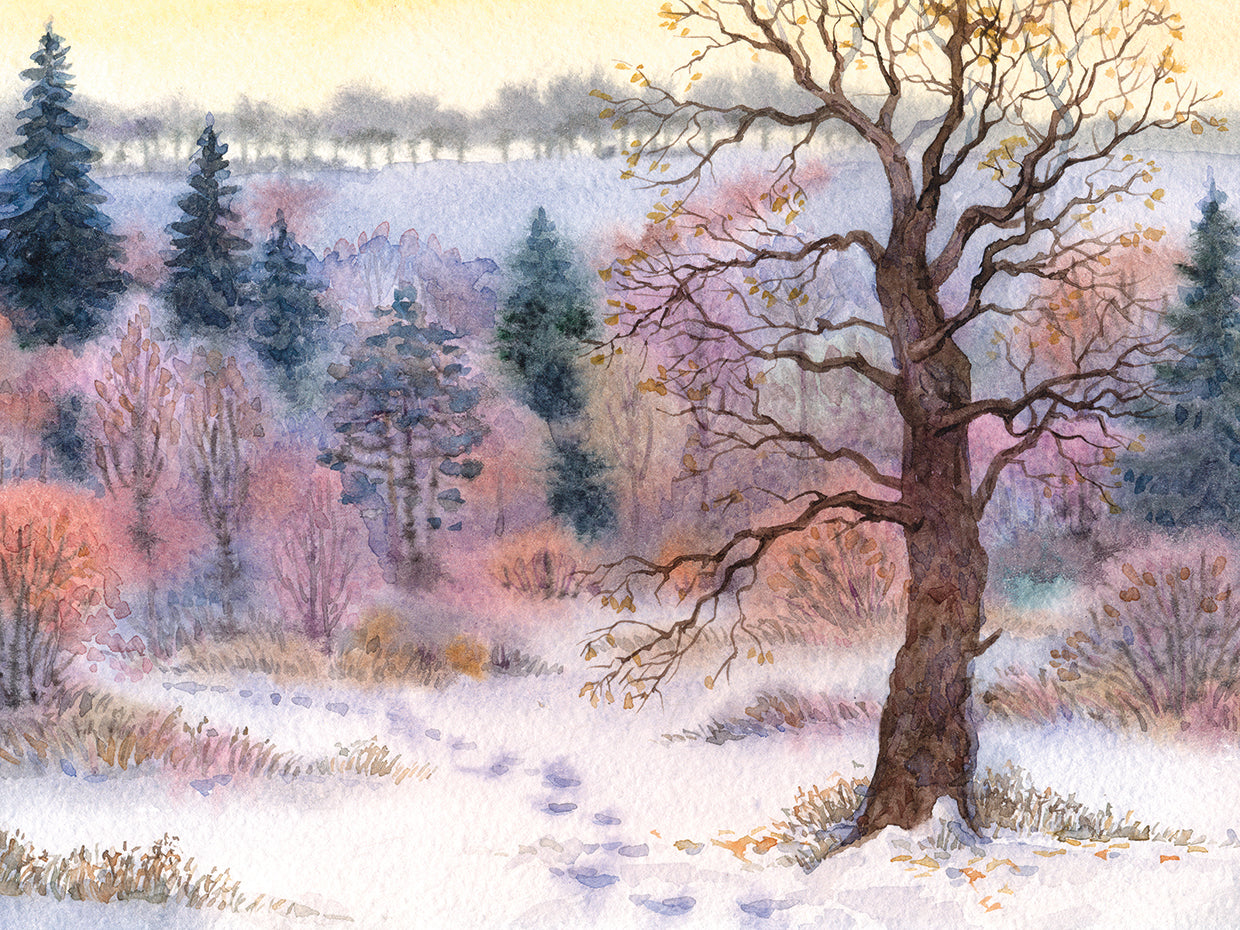 Arte de la lona del campo del roble del invierno nevado