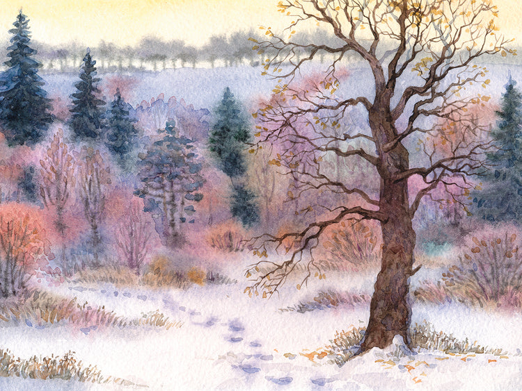 Arte de la lona del campo del roble del invierno nevado