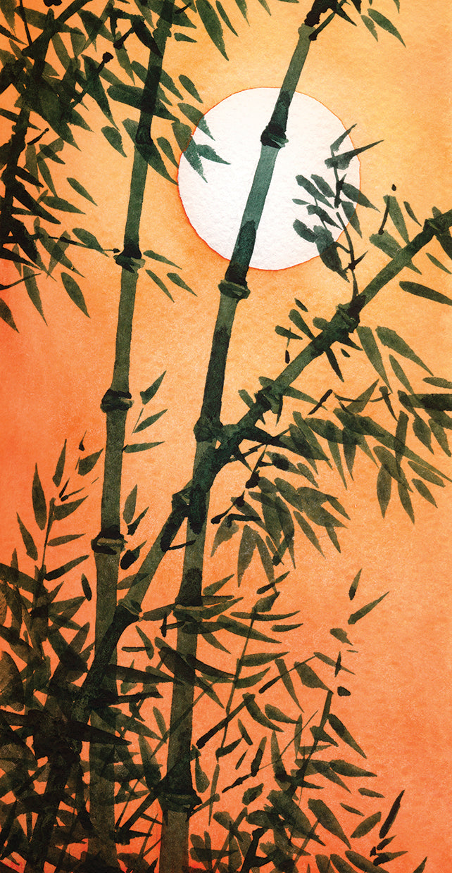 lucky-sunset-bamboo-dp-gallery