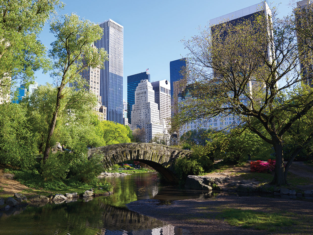 Arte de la lona del puente del verano de Central Park