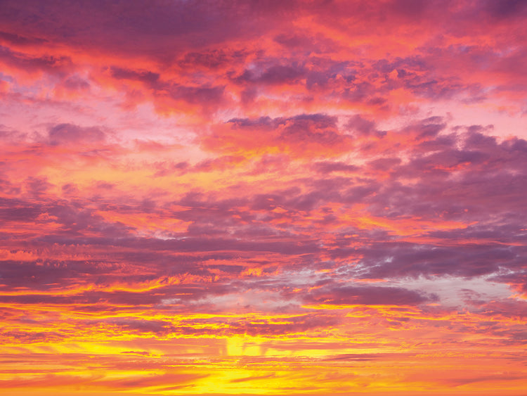 Purple Parade Sunset