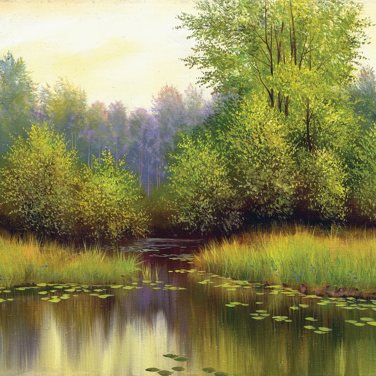 Waterlily Summer Pond