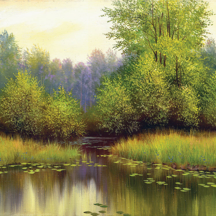 Waterlily Summer Pond