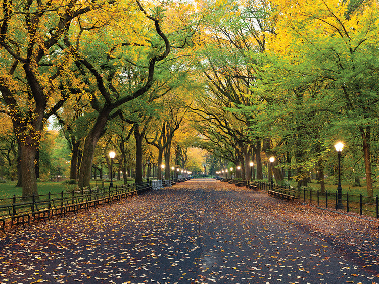 Central Park Fall Equinox